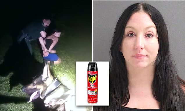 Featured image for "Florida Woman Arrested for Poisoning Date's Drink with Raid Bug Spray"