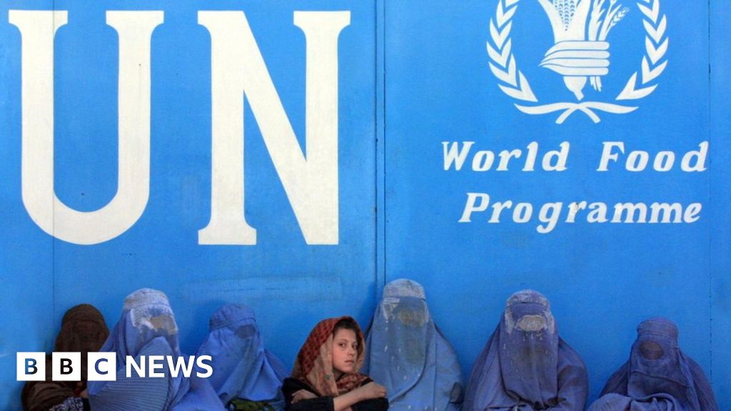 Taliban's Ban on UN Female Staff in Afghanistan Jeopardizes Aid and Women's Rights.
