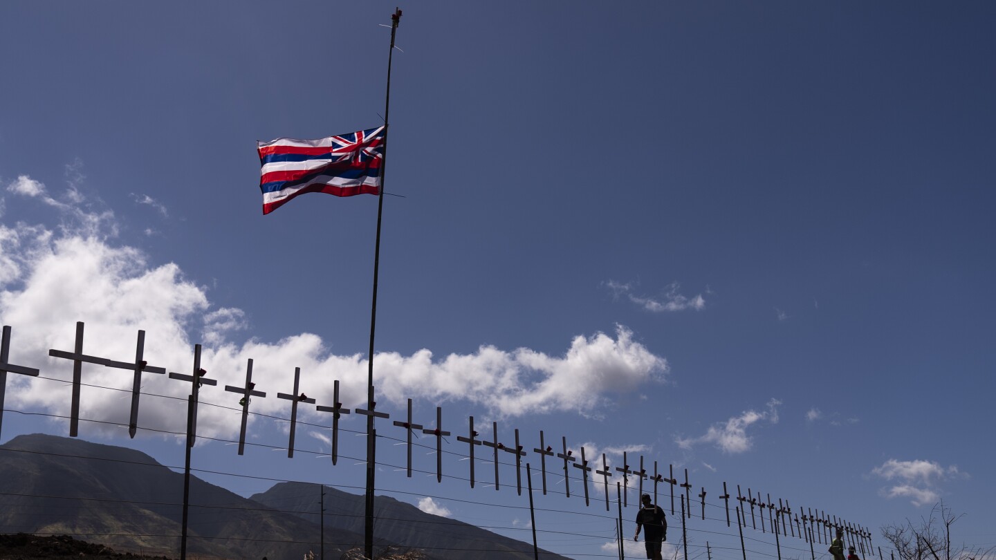 Featured image for Hawaii Officials Seek DNA Samples from Families of Missing Fire Victims