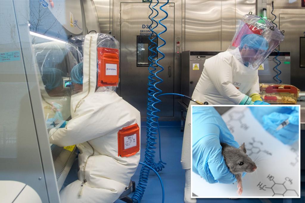 Featured image for "Chinese Lab Develops 100% Lethal Mutant COVID-19 Strain Targeting Brain: Report"