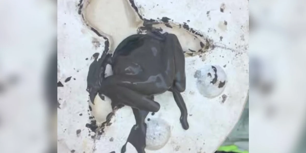 Featured image for Ceramicist Mistakes Legs for Mold Obstruction