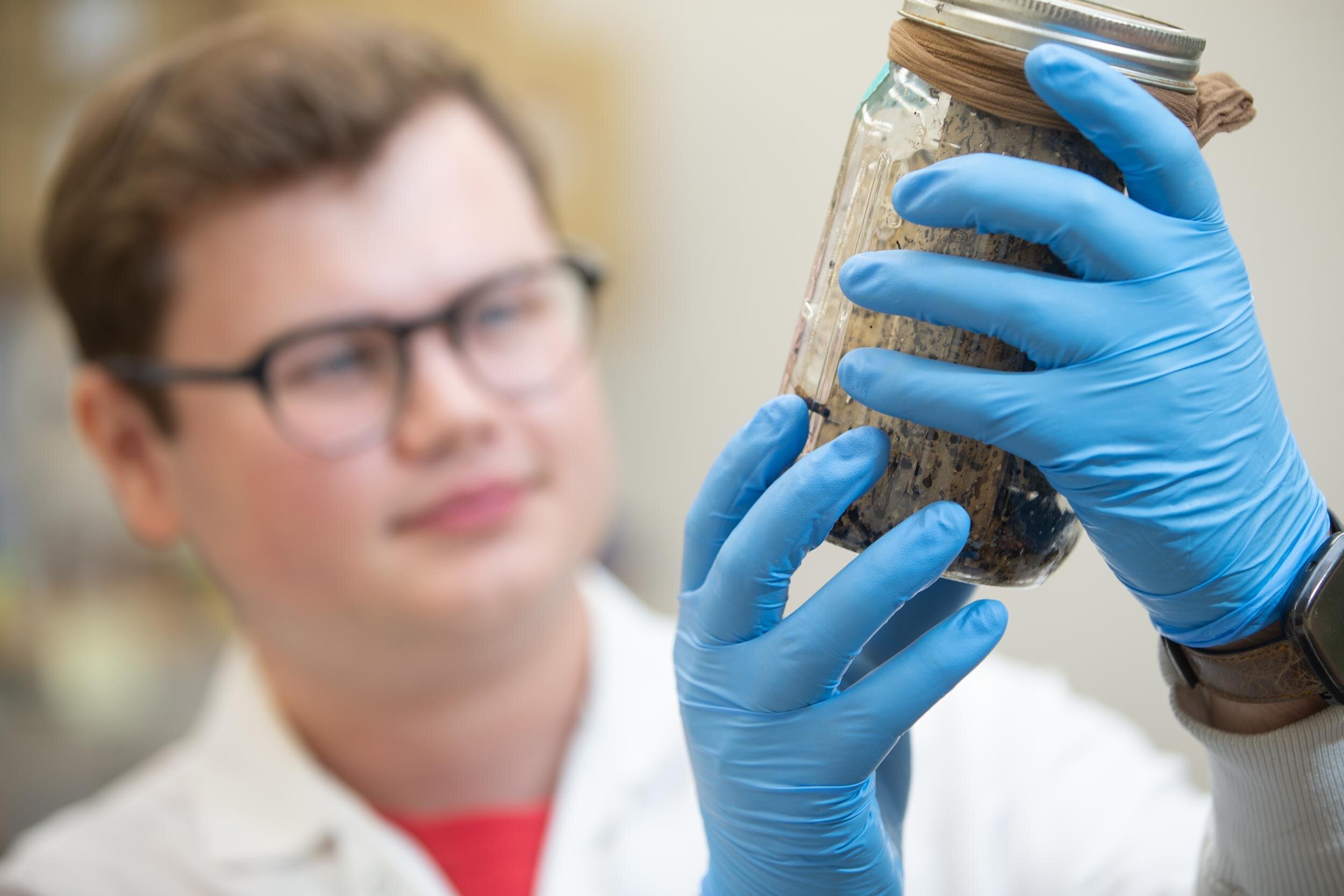 Featured image for Scientists Study Parasite Lifecycle to Fight Chagas Disease