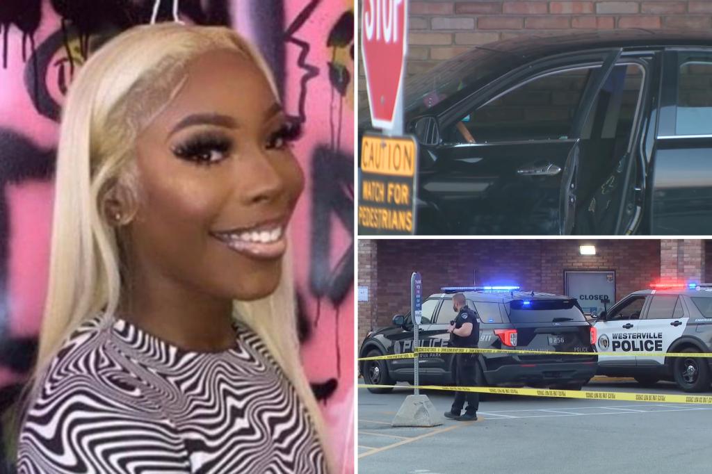 "Controversial Release: Ohio Police to Share Video of Fatal Shooting of Pregnant Black Woman"