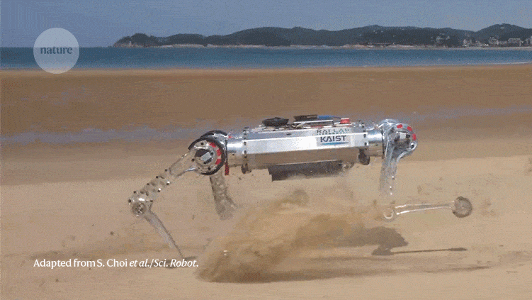 Featured image for Robots Mastering Complex Terrain with Swift Progress.
