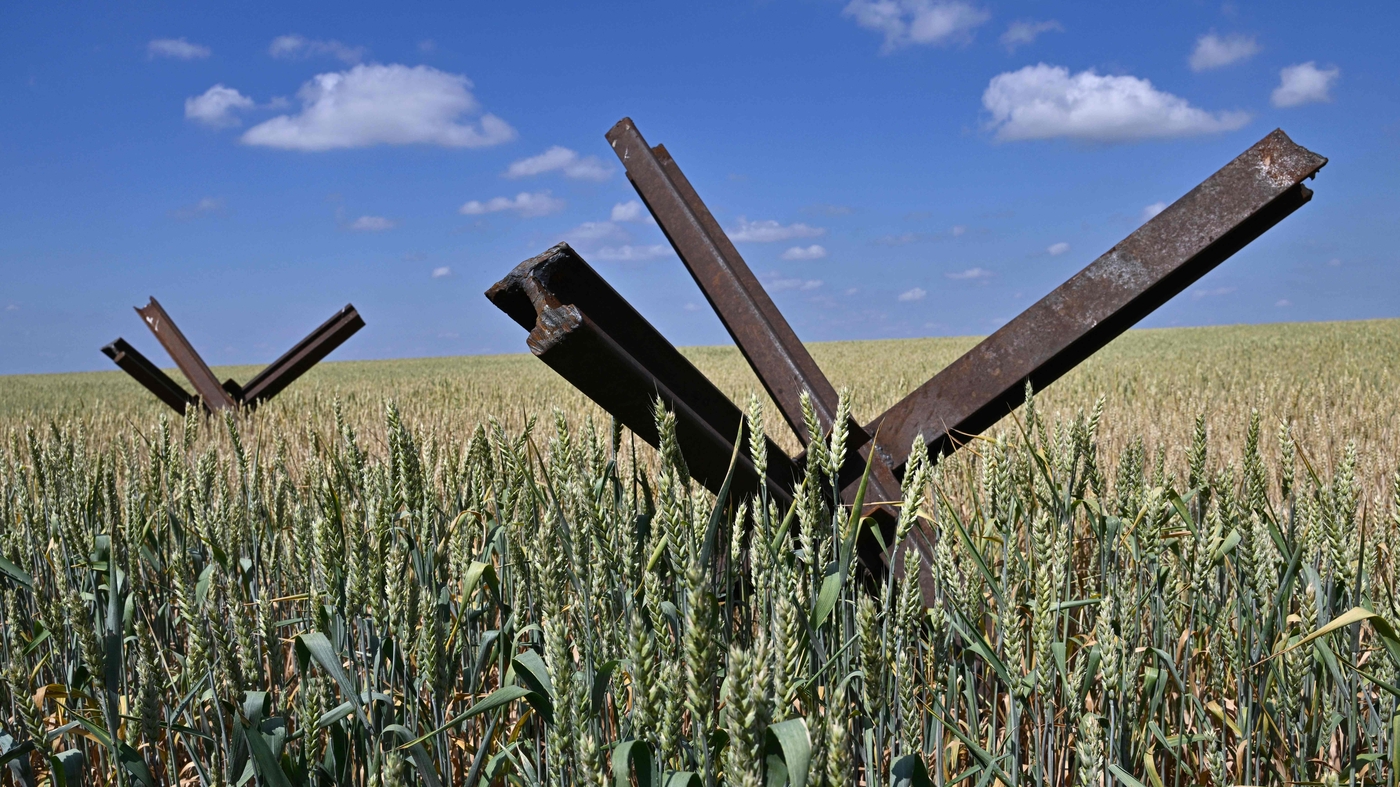 "Russia's Grain Deal Cancellation Raises Concerns over Global Food Security"