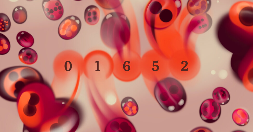 Featured image for Wordle Puzzle #1652 Tips and Answers for December 27, 2025