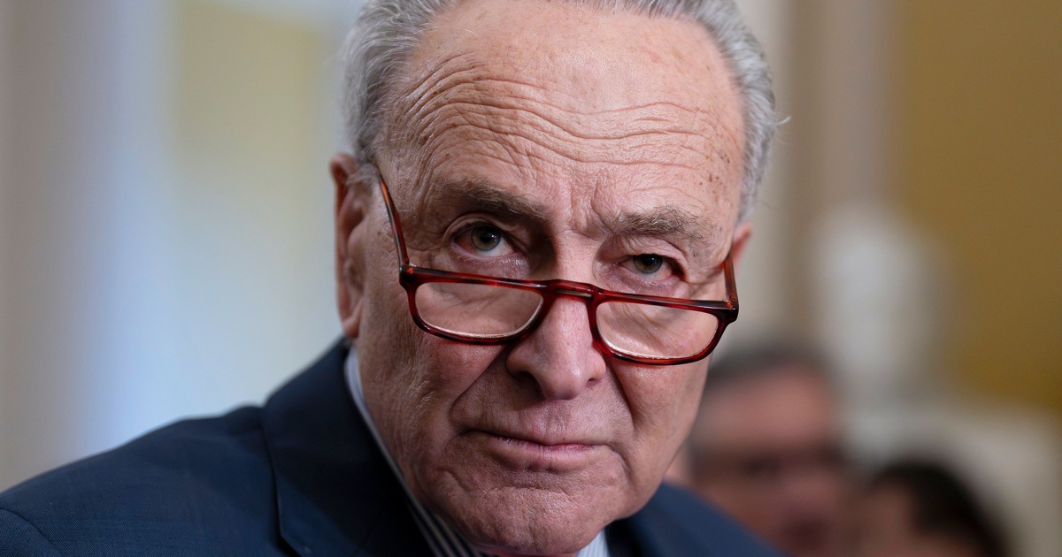 Schumer Calls for New Israeli Elections, Blasts Netanyahu
