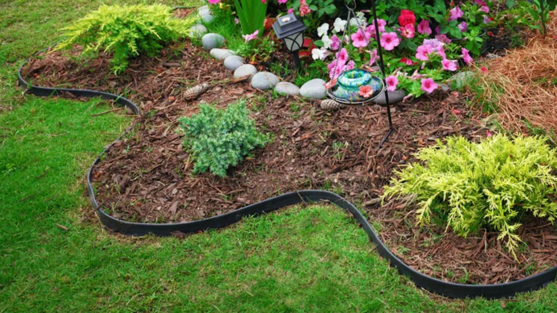 Featured image for "Expert Warns Against Popular Yard Landscaping Technique Due to Negative Effects"