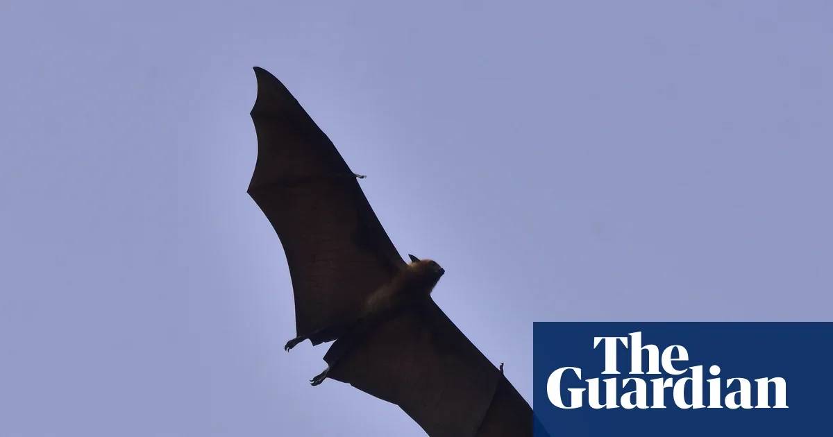 Bangladesh records Nipah death as WHO flags low international risk