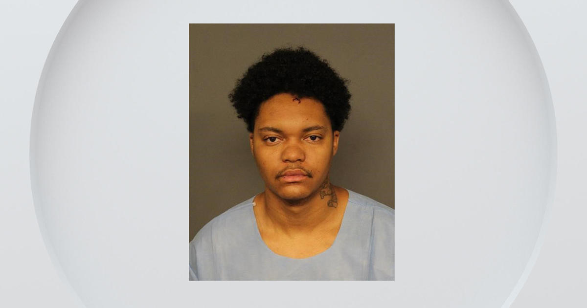 Arrest Made in Fatal Shooting of Rideshare Driver, Security Guard, and Vehicle Theft