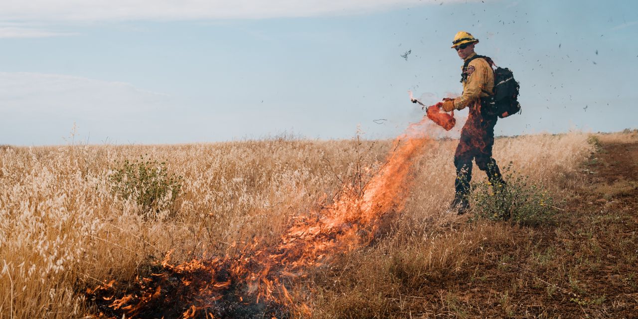 Featured image for Prescribed Burns and Climate Change: Fighting Wildfires.
