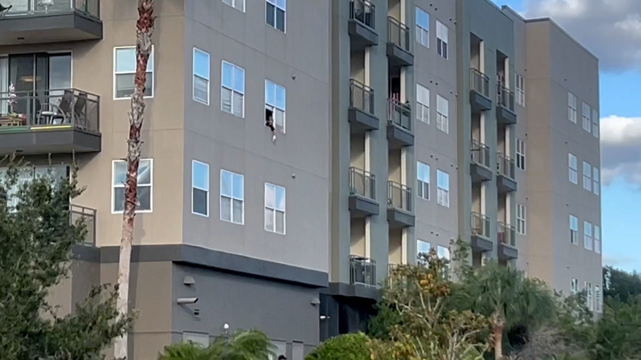 Featured image for Toddler's Terrifying Fall from Tampa Apartment Leaves Community in Shock