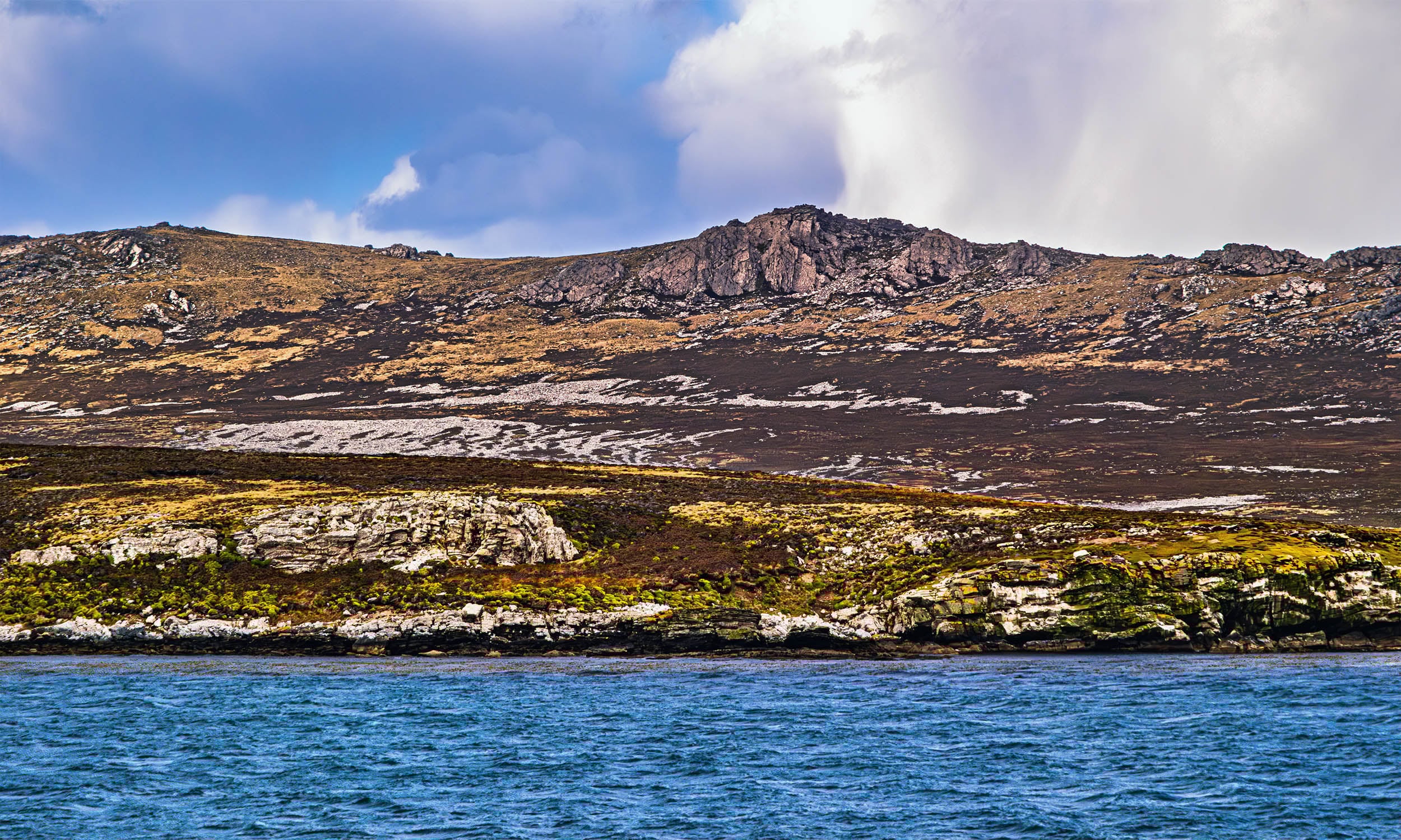 Featured image for Ancient Rainforest Discovered on Treeless Island