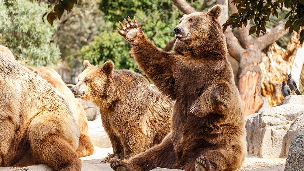 "Market Reversal: Dow Slumps, Tech Stocks Skid as Fear Gauge Hits 6-Month High"