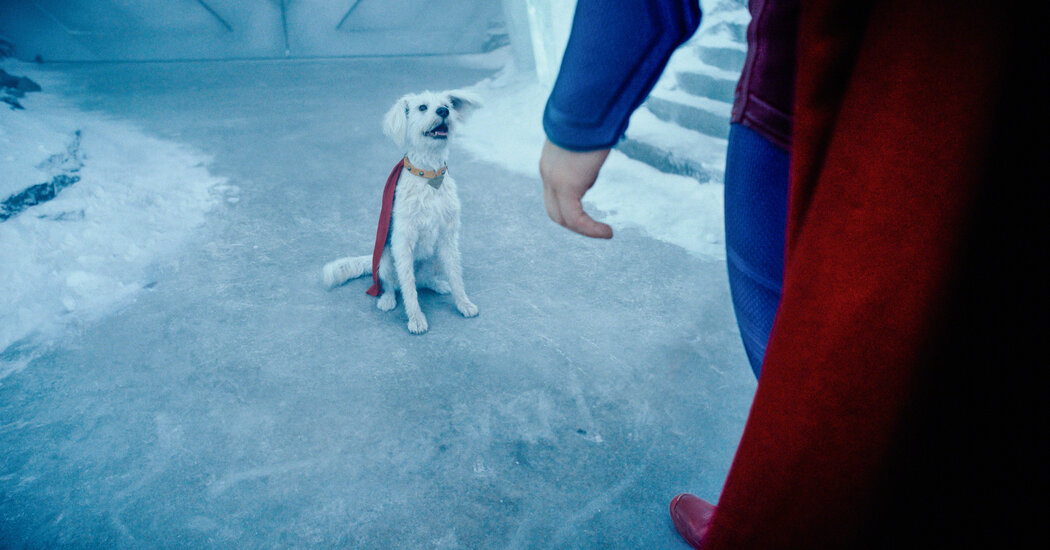 Featured image for James Gunn's Krypto: From Personal Pet to Superdog Icon