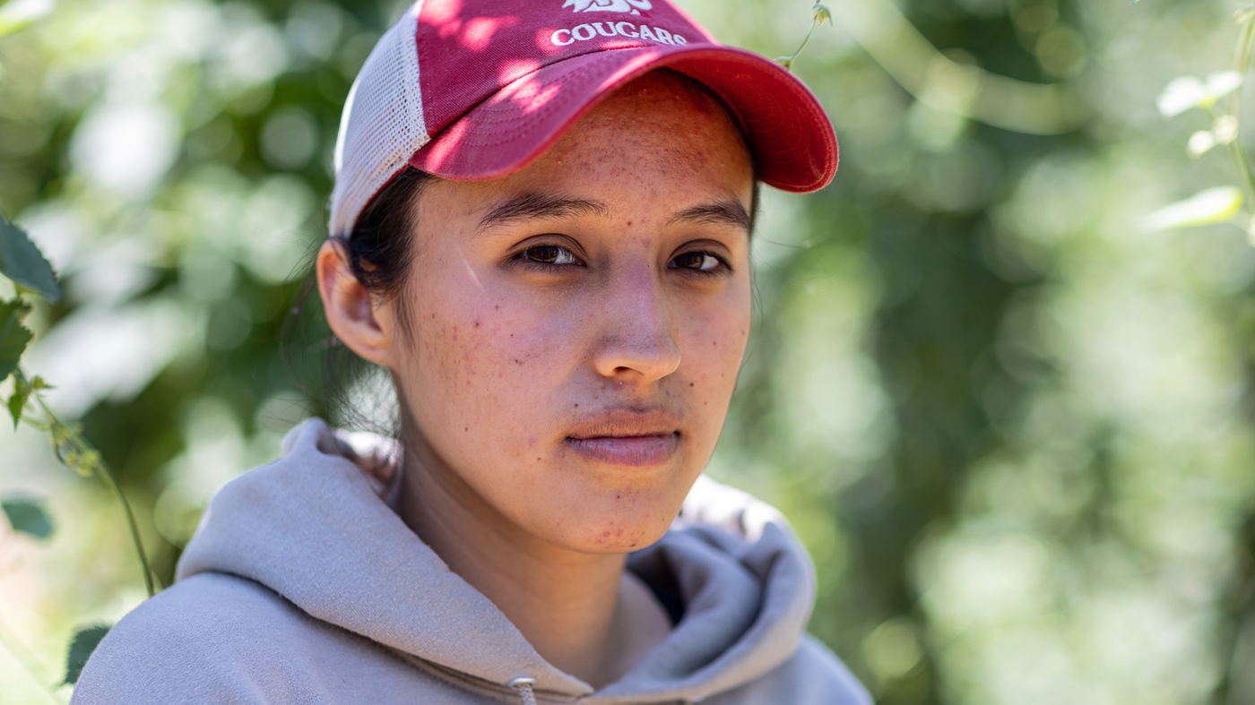 The Future of American Crop Harvesting: Addressing the Aging Farm Workforce