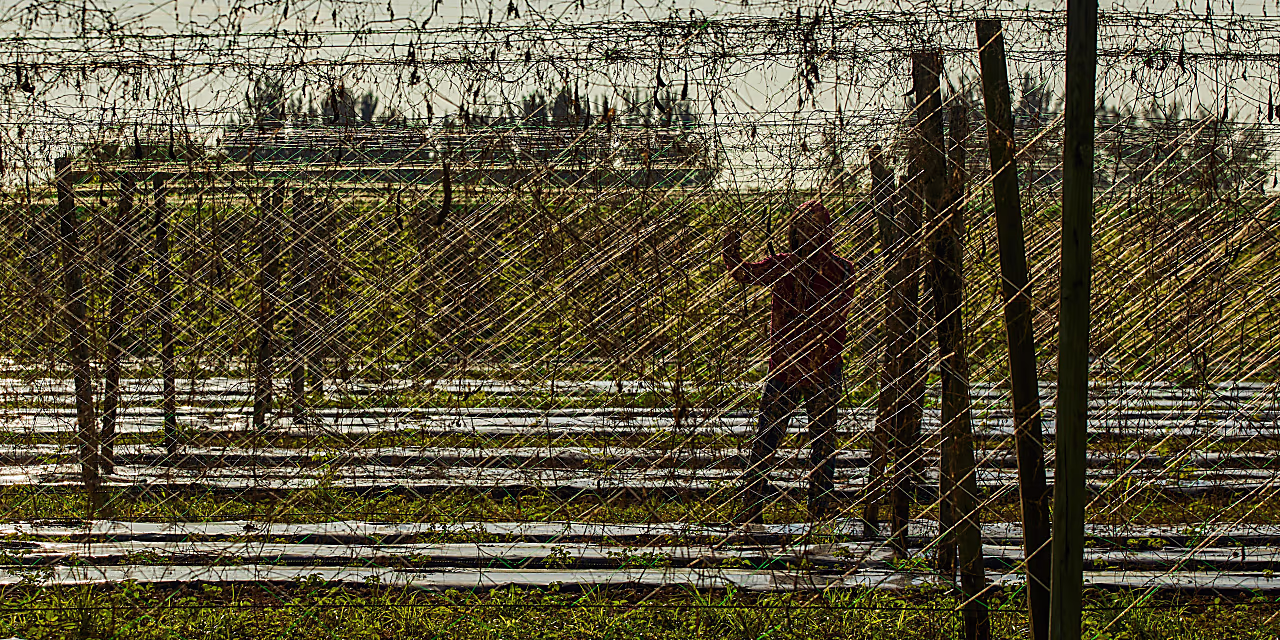 "Florida's Controversial Immigration Law Sparks Migrant Exodus and Legal Battles"
