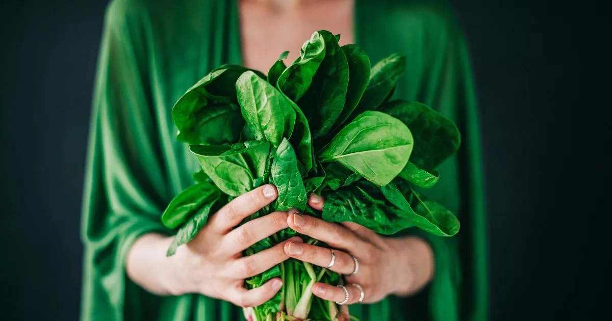 Featured image for Frozen Vegetables: A Healthier Choice Than Fresh?