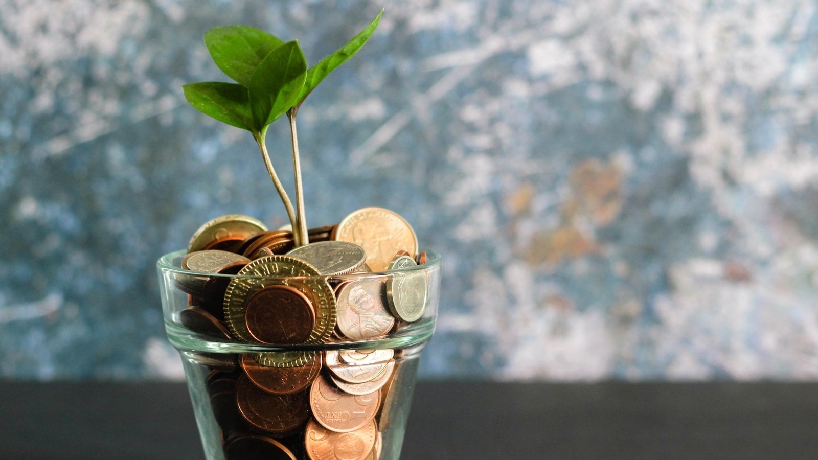 Featured image for Astrology Insights: Harmonious Relationships and Conflict-Free Careers