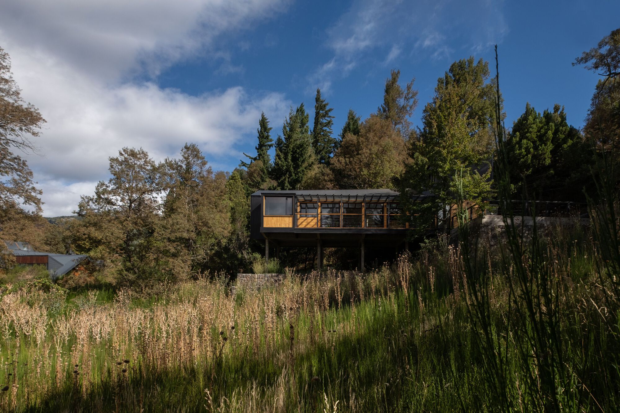 Sosa House: A Stunning Creation by 40Sur Arquitectura.