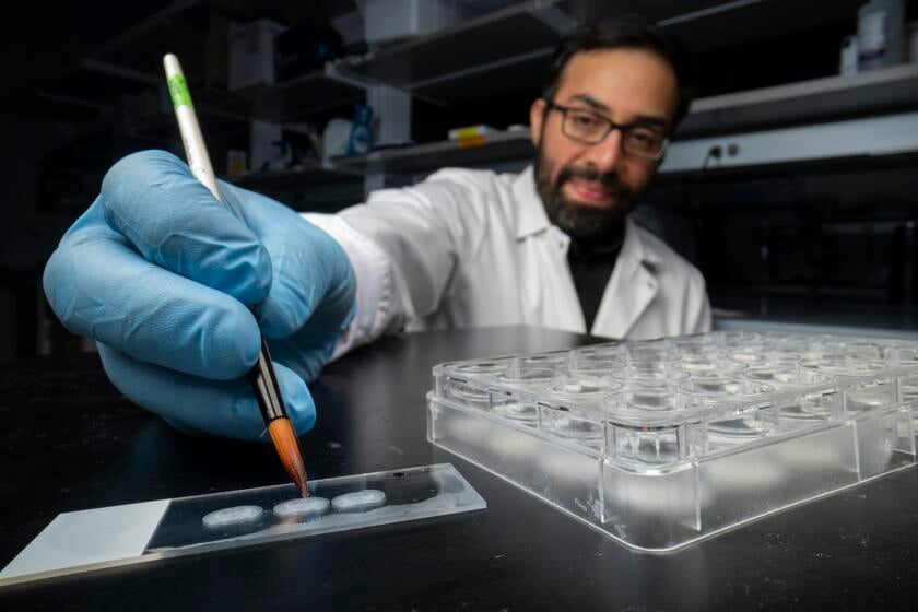 Featured image for Rewriting Memories in the Lab: A Future Cure for Humans