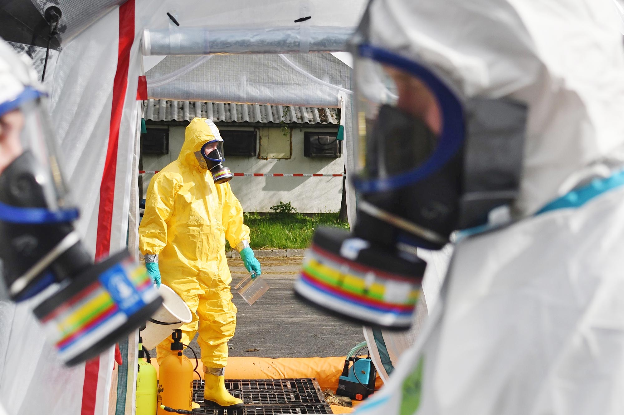 Featured image for Potential Bird Flu Variant May Trigger Future Pandemic