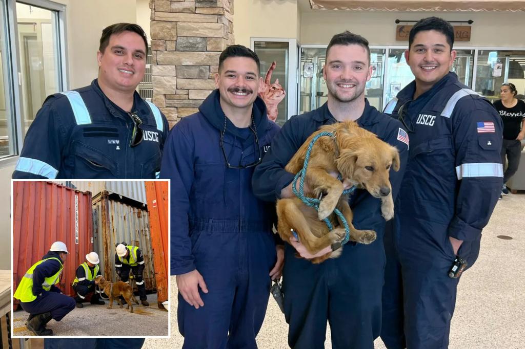 Featured image for "Coast Guard Rescues Dog Trapped for Over a Week in Texas Shipping Container"