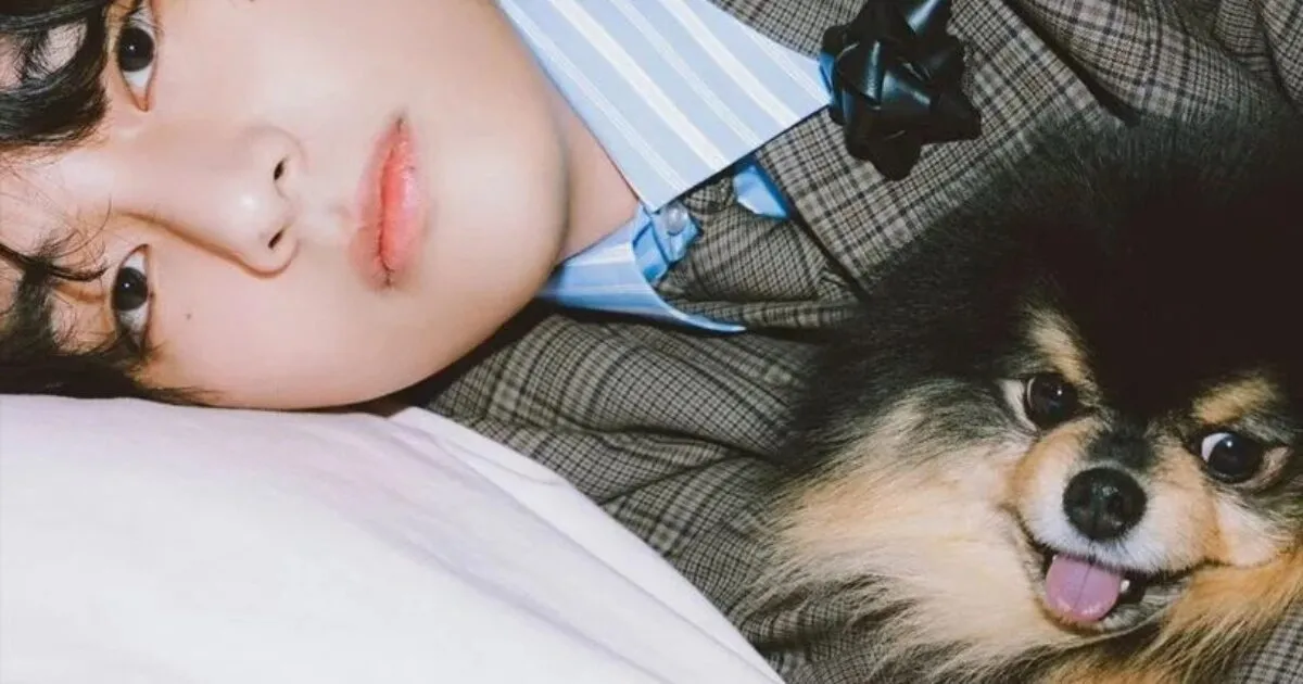Featured image for BTS's V Mourns the Loss of Beloved Dog Yeontan