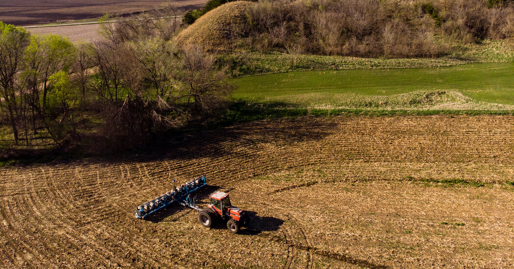 Featured image for Trump Promises Immigration Reforms to Support Farmers and Hospitality Workers