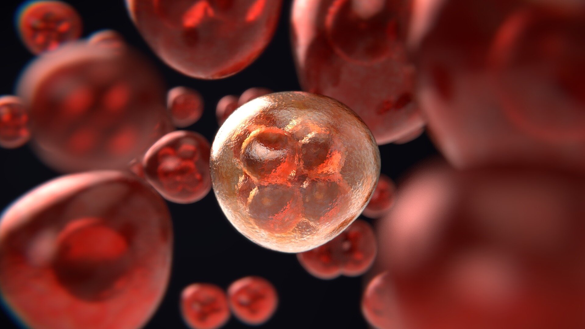 "Discovery of Weak Spot in Prostate Cancer Cells Offers Hope for Breakthrough Therapy"