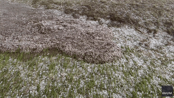Featured image for Nebraska Thunderstorm Unleashes Lava-Like Hail, Causing Widespread Damage