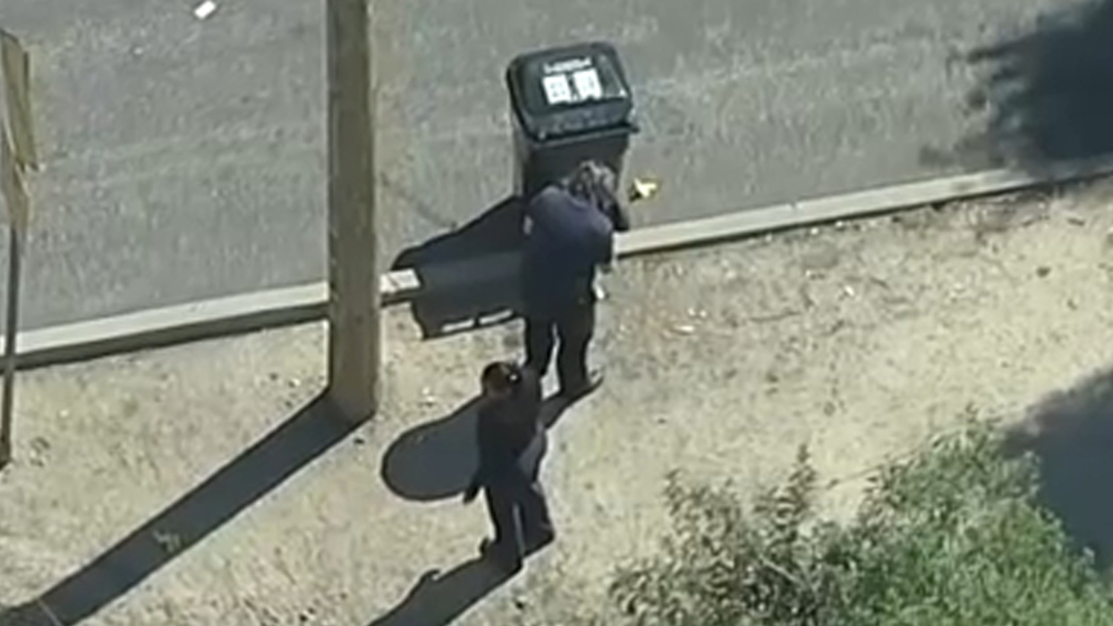 Featured image for "Sunland Homicide Investigation Launched After Woman's Body Found in Trash Can"