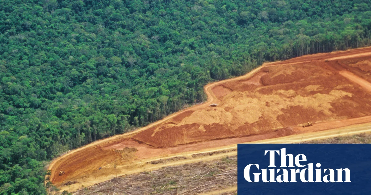 Featured image for Tropical deforestation linked to 500,000 deaths over two decades
