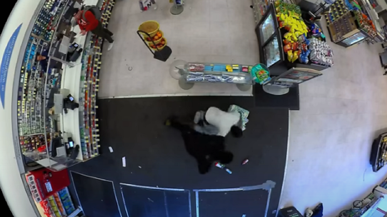 "Controversial Shooting of Alleged Shoplifter by Walgreens Security Guard Caught on Video"