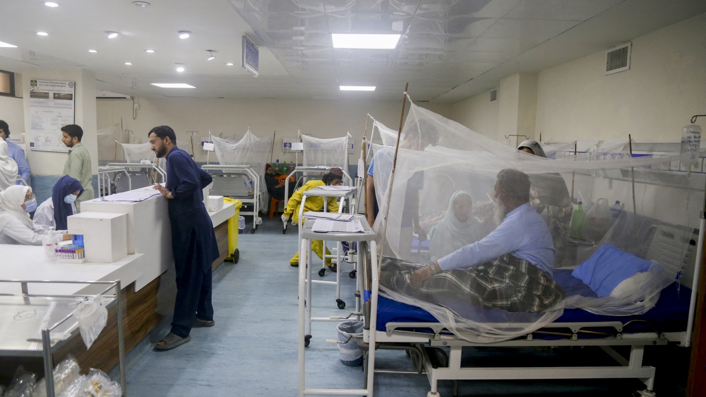 Featured image for New Single-Dose Malaria Treatment Shows Promise Amidst Drug Resistance