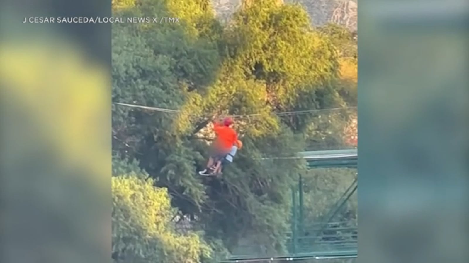 Featured image for "Zip Line Safety Concerns Raised After 6-Year-Old's Miraculous Fall and Survival in Mexico"