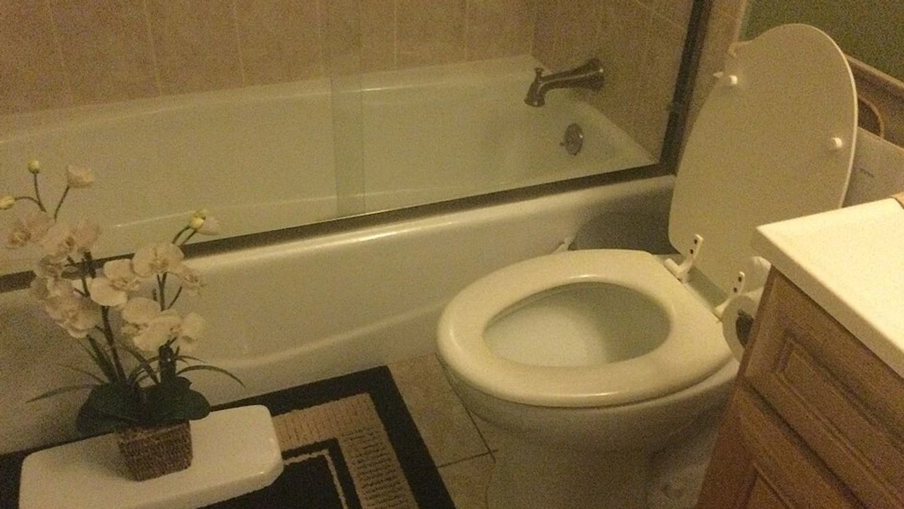 Featured image for Washington health officials warn of potential sewer rats after heavy rains