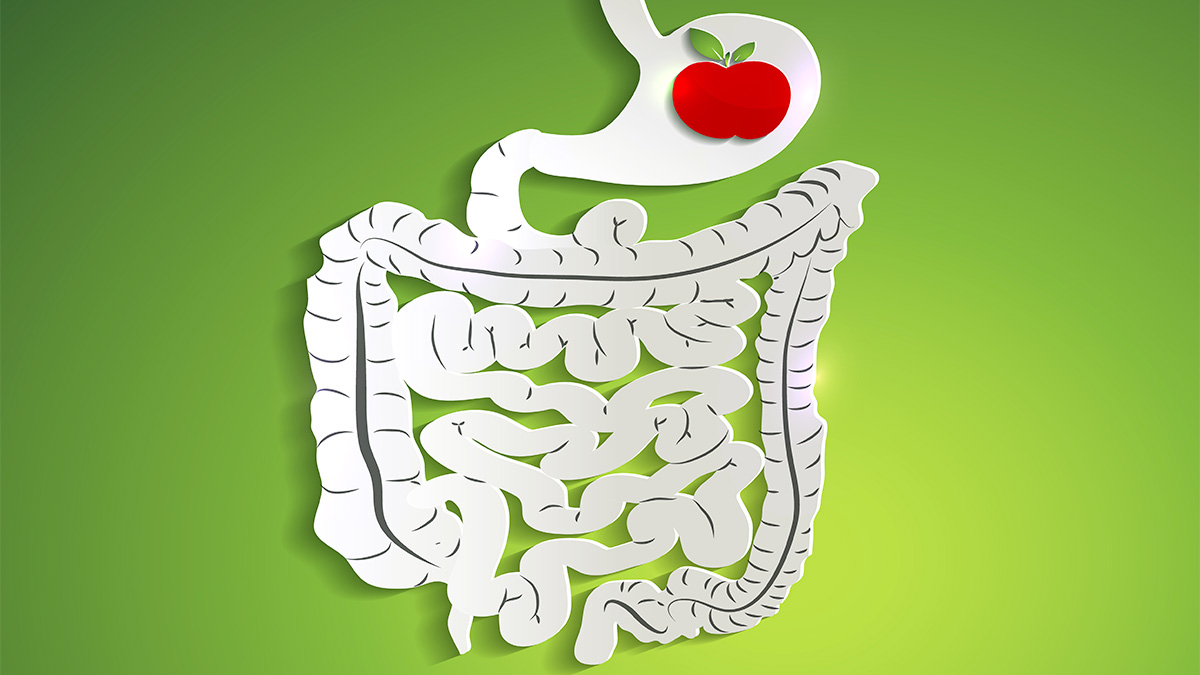 Dietary Solutions for Managing IBS Symptoms.