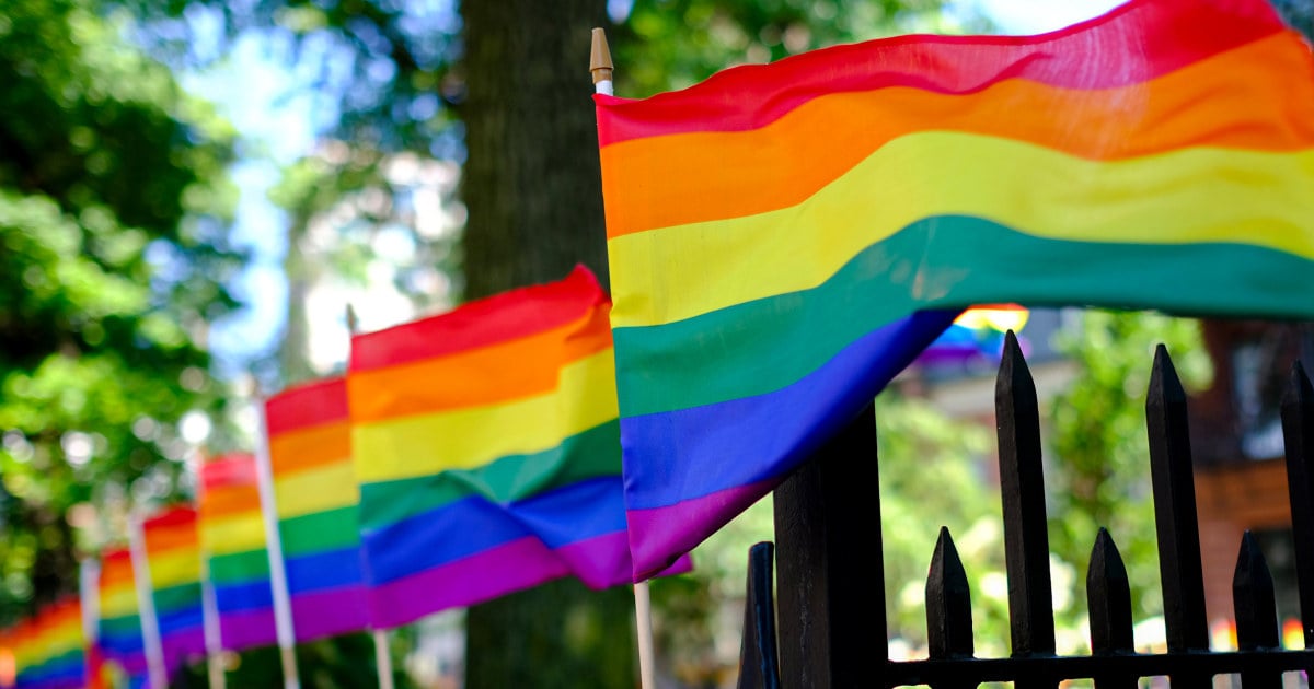 Featured image for "Huntington Beach Election 2024: Controversial Measures Face Defeat as Pride Flag Ban Proposal Gains Attention"