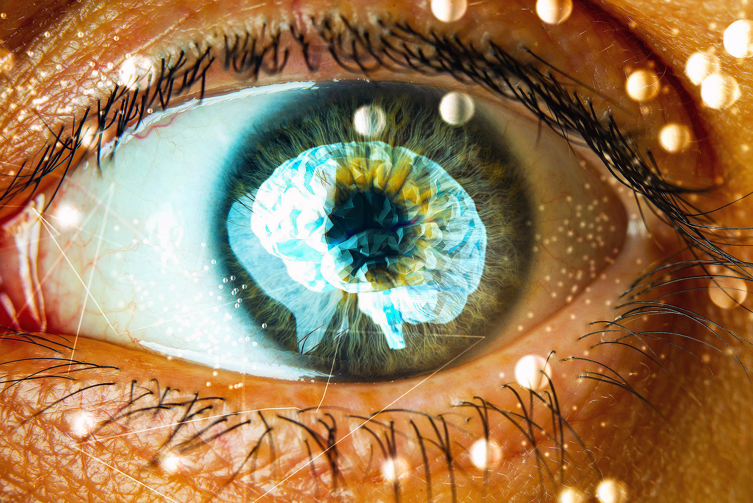 Featured image for Scientists Connect Pupil Dilation to Working Memory Capacity