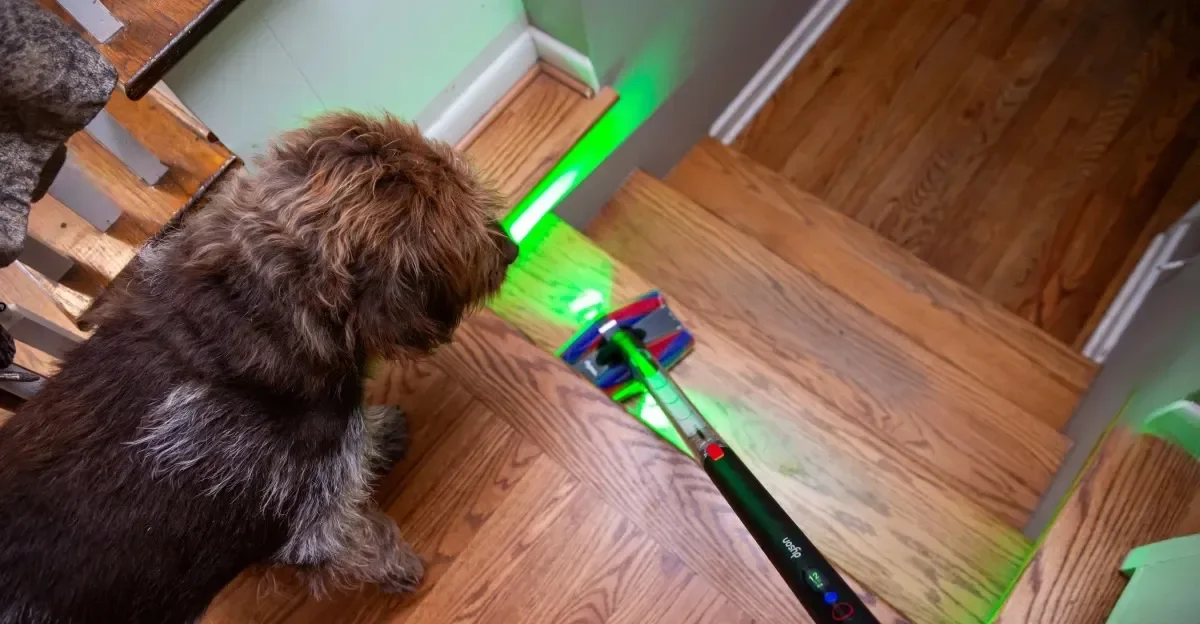 Dyson’s PencilVac Fluffycones: a playful slimline helper with limited cleaning power