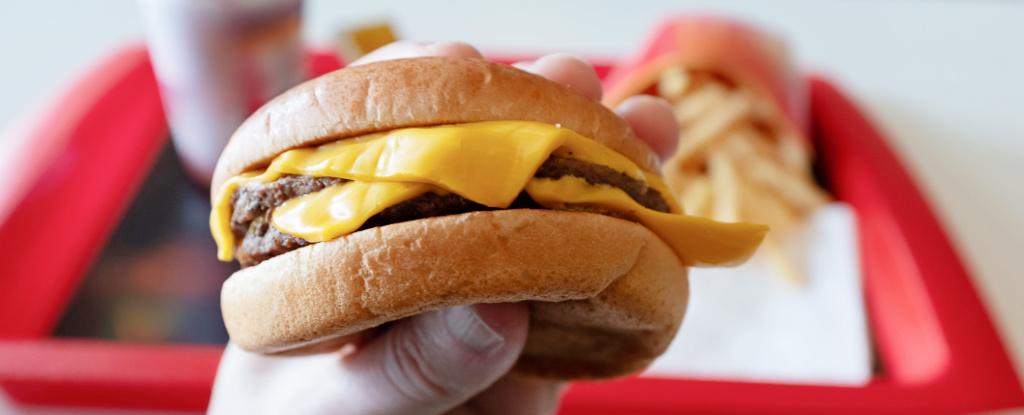 Featured image for "Pre-Surgery Fatty Food Consumption Linked to Memory Impairment"