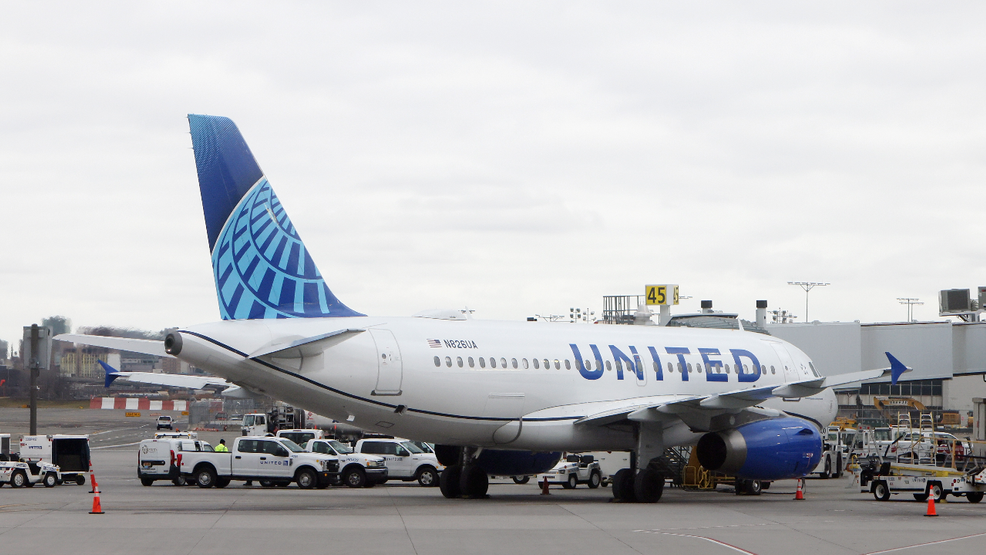 Cruise Passengers Fall Ill on United Flight to Houston