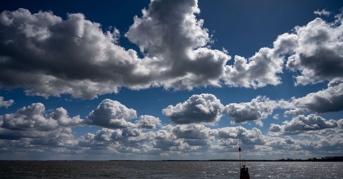 Featured image for Bluesky: The Twitter Clone That Could Challenge the Social Media Giant.