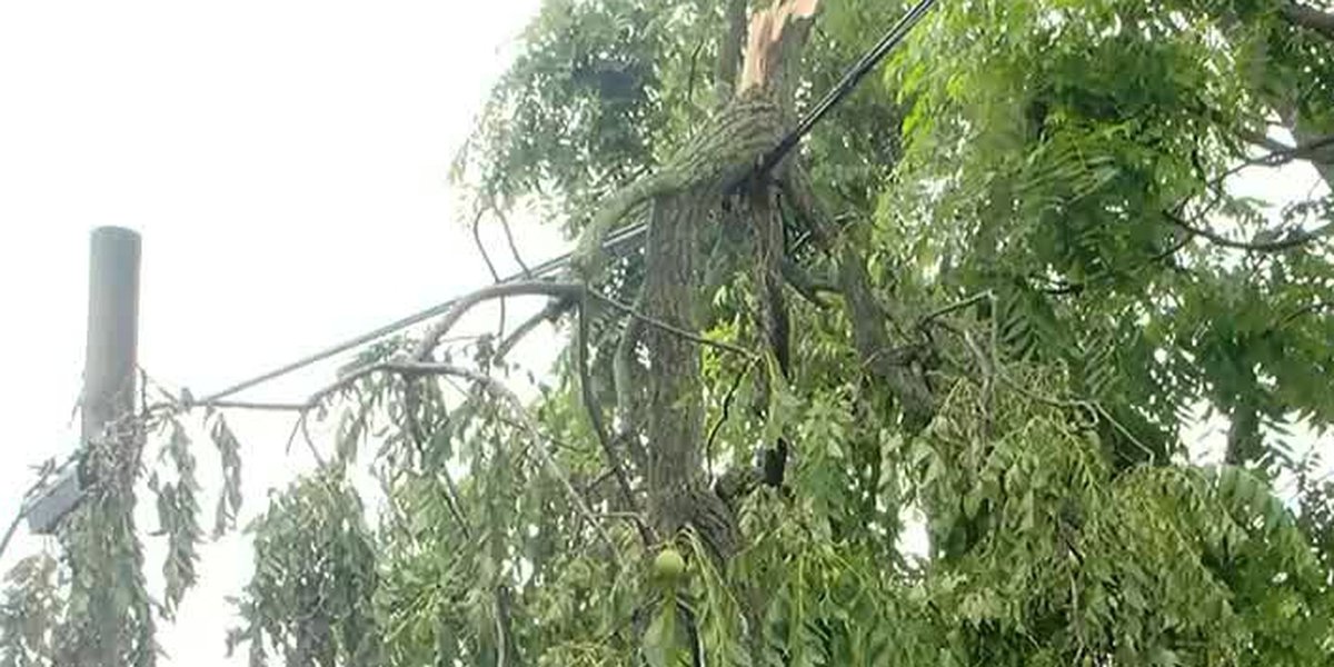 Power Outages Cause Chaos and Disruption in Nashville and Surrounding Areas