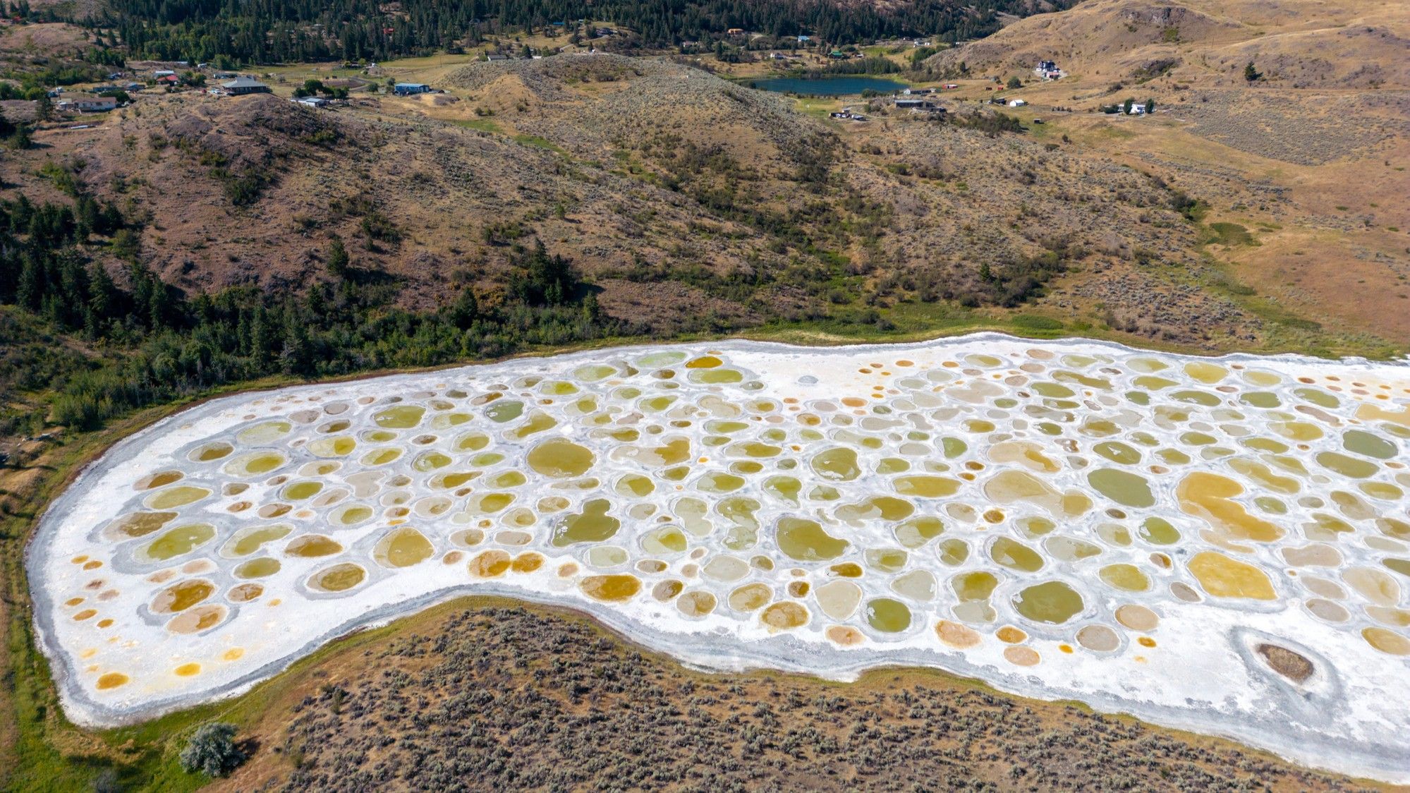 Featured image for Spotted Lake: Canada's Colorful, Smelly Brine Pool Wonder