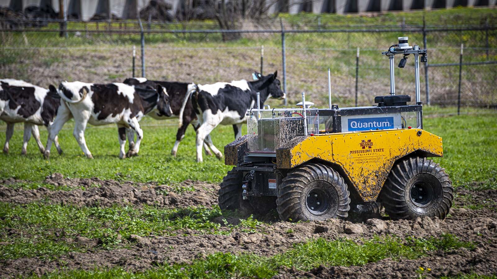 Wyoming Ranchers Question Robots' Ability to Herd Cattle