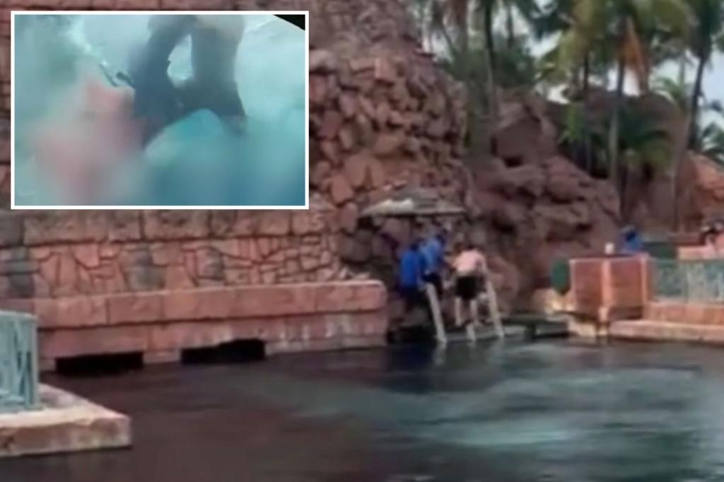 "10-Year-Old Boy Attacked by Shark in Bahamas: Chaotic Moments Captured on Video"
