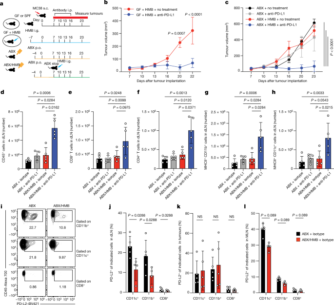 Microbiome's Impact on Immunotherapy Resistance and CAR-T Outcomes