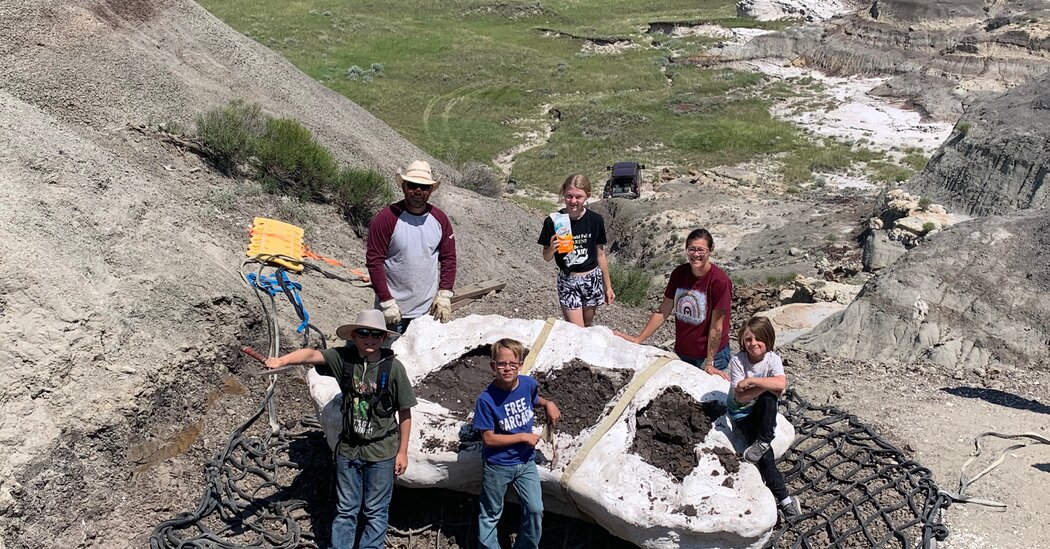 Featured image for Kids Discover Rare 'Teen Rex' Fossil in North Dakota